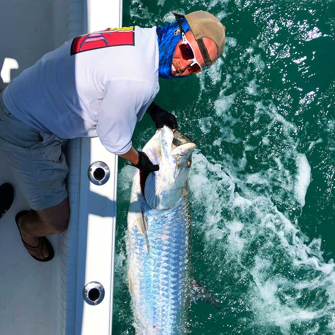 Tarpon – Tower Angle | InshoreAction Fishing Charters